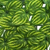 Balkono uždanga su lapais Žalia ir geltona 500 x 150 cm