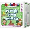 BrainBox - Aš mokausi apie REBEL gyvūnų prieglaudas
