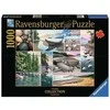 Dėlionė West Coast Tranquility 1000 detalių Ravensburger