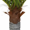 Dirbtinė palmė, žalios spalvos, 150cm, 12 lapų