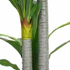 Dirbtinis dracenos medis, žalios spalvos, 120cm, 36 lapai