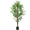 Dirbtinis fikuso augalas, žalios spalvos, 200cm, 1260 lapai