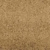 Durų kilimėlis Kremas ir juoda 120 x 350 cm Poliamidas ir PVC