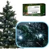 Roger LED žibintai šviesos grandinė 10m 100LED šaltai balta