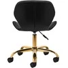 Activeshop Kosmetologinė meistro kėdutė QS-06G Juodas