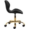 Activeshop Kosmetologinė meistro kėdutė QS-06G Juodas
