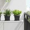 Kvadratinis gėlių vazonas 24 pcs Juoda 20 x 20 x 16 cm
