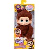 Little Live Pets My Baby Mini Monkey 26765 26729 interaktyvi beždžionėlė