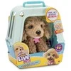 Little Live Pets Real Puppy Cavoodle 26612 interaktyvus šuniukas