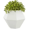 Lovelis 2 vnt. Balta 75 x 75 x 60 cm Plienas