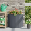 Lovelis Antracitas 60 x 30 x 50 cm Plienas