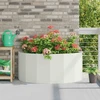 Lovelis Balta 120 x 60 x 50 cm Plienas