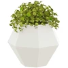 Lovelis Balta 50 x 50 x 40 cm Plienas