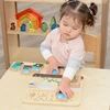 Masterkidz medinė edukacinė lenta pupelės gyvavimo ciklas