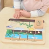 Masterkidz medinė edukacinė lenta pupelės gyvavimo ciklas