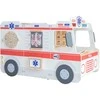 Medinis greitosios pagalbos automobilis VIGA