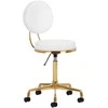 Activeshop Kosmetologinė meistro kėdutė COSMETIC CHAIR ELITE Baltas