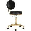 Activeshop Kosmetologinė meistro kėdutė COSMETIC CHAIR ELITE Juodas