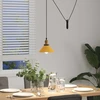 Pakabinamas šviestuvas Pakabinamas lempos, aukštis reguliuojamas, E27, Ø 22cm, metalas