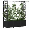 Pakeltas lovas su trelėmis ir stogu Juoda 162,5 x 40 x 136 cm