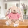 Lean Toys Pliušinis zuikutis su rožiniu megztiniu, 22 cm
