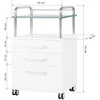 Activeshop Kosmetologinis vežimėlis 6050 Baltas