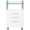 Activeshop Kosmetologinis vežimėlis 6050 Baltas