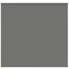 roletas smėlio Pilka 165x175 cm audinio plotis 161,6 cm