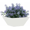 Sodo vazonas 5 pcs Balta 35 x 35 x 15 cm