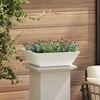 Sodo vazonas 5 pcs Balta 50 x 50 x 15 cm