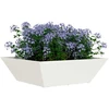 Sodo vazonas 5 pcs Balta 50 x 50 x 15 cm
