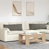 Sofa Pagalvės 2 pcs Šviesiai pilka 120 x 40 cm