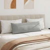 Sofa Pagalvės 2 pcs Šviesiai pilka 120 x 40 cm audinys