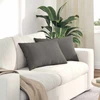 Sofa Pagalvės 2 vnt. Šviesiai pilka 60 x 40 cm