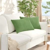 Sofa Pagalvės 2 pcs Šviesiai žalia 60 x 40 cm