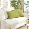 Sofa Pagalvės 2 vnt. audinys Šviesiai žalia 60 x 40 cm