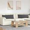 Sofa Pagalvės 2 pcs Tamsiai pilka 120 x 40 cm
