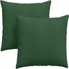 Sofa Pagalvės 2 pcs Tamsiai žalia 80 x 80 cm Kordūrinis audinys