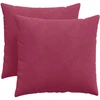 Sofa Pagalvės 2 pcs Vyno raudona 50 x 50 cm Kordūrinis audinys