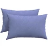 Sofa Pagalvės 2 pcs Džinsinės mėlynos 60 x 40 cm audinys