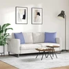 Sofa Pagalvės 2 pcs Džinsinės mėlynos 45 x 45 cm audinys