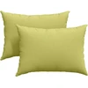 Sofa Pagalvės 2 vnt. audinys Šviesiai žalia 70 x 50 cm