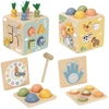 Tooky Toys TOOKY TOY medinis spyruoklinis lavinamasis kubas 5 in 1