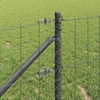 Euro tvora su smeigėmis 25 x 0,8 m PVC dengtas plienas Pilka