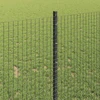 Suvirintas vielos tvora su stulpeliais 10 x 1 m Pilka Tinklelis