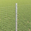Suvirintas vielos tvora su stulpeliais 10 x 0,8 m Sidabrinė