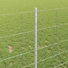 Lauko laukinė tvora su stulpais 50 x 1 m Galvanizuotas plienas