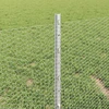 Hexagonal Fence with Post 100 x 0,4 m Galvanizuotas plienas