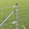 Lauko Euro tvora su smeigėmis 25 x 0,6 m Galvanizuotas plienas
