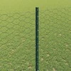 Hexagonal Fence with Post 25 x 1,4 m PVC dengtas plienas Žalia